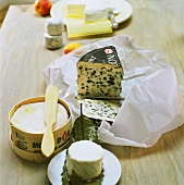Verschiedene Käsesorten aus Frankreich