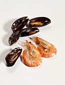 Mussels and shrimps