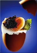 Egg with salmon, caviare substitute and lemon balm
