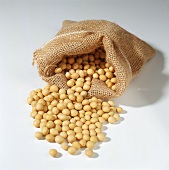 Soya beans with jute sack