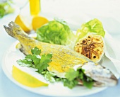 Trout with mustard powder, fried garlic and salad