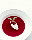 Forest fruit soup with vanilla mousse and carrot croutons