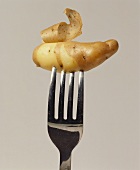 Potato cooked in its skin, on fork