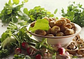 Potatoes with fresh radishes, mushrooms and herbs