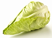 Pointed cabbage