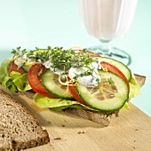 Open sandwich with cucumber, tomatoes and cress