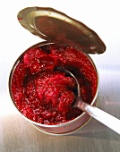 Tomato puree in tin with spoon