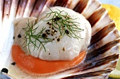 Scallop with pepper and dill