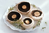 Mushroom caps on plate