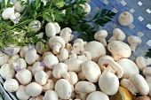 Mushrooms in blue basket
