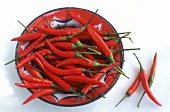 Fresh chili peppers on red plate