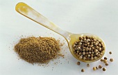 Coriander seeds in spoon and ground coriander