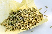 Fennel seeds on yellow paper