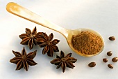 Star anise and ground star anise on spoon