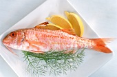 Striped red mullet with lemon and dill