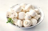 Mushrooms in white bowl