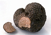 Summer truffle, a piece cut off