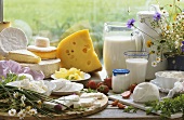 Stillleben mit Käse und Milchprodukten vor Fenster
