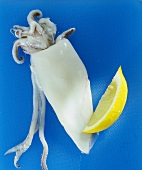 Squid with wedge of lemon