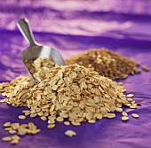 A heap of rolled oats with scoop in front of whole oats