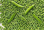 Fresh peas and pea pods (filling the picture)