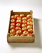 Apples in a crate