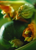 Courgettes and courgette flowers