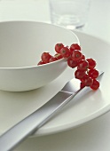 Place setting with fresh redcurrants