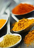 Various spices on spoons