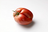 Italian Giant Plum (pflaumenförmige, fleischige, rote Tomate)