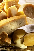 Various types of cheese on platter with fabric napkin