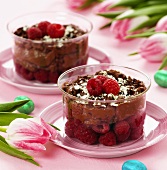 Chocolate cream with fresh raspberries for Easter