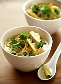 Noodle soup with tofu