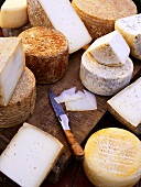 Various types of cheese from the Basque region