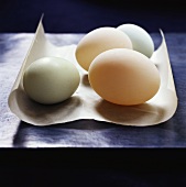 Fresh eggs on paper