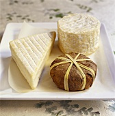 Three different types of cheese on plate