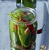 Pickled gherkins with dill