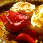 Rose petals on plate