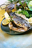 Barbecued trout