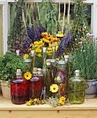 Herb oil, herb vinegar, blackcurrant liqueur & culinary herbs