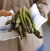 Hands holding fresh green asparagus on tea towel