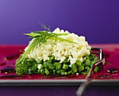 Salat aus gehacktem Blumenkohl auf grünen Bohnen