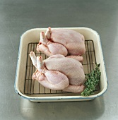 Two pullets in roasting dish