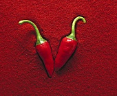 Two red chili peppers on chili powder