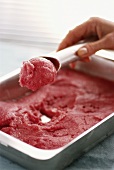 Hand taking scoop of blackberry ice cream out of container