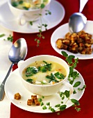 Potato soup with croutons and fresh marjoram