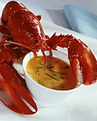 Lobster sauce with spring onions