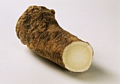 A horseradish root