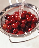 Cranberries in sieve being held under running water