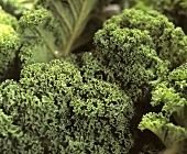 Kale (close-up)